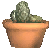 cactus_cold