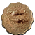 collection_coin_8