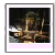 foto_mozg_x16