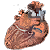 Сердце ротана