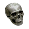 snp_sarcofag