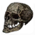 snp_skull