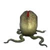 spider_egg