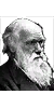 vzn_darwin