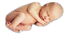 vzn_mladen