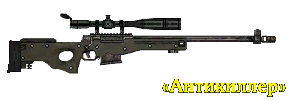 AWP «Antikiller»