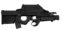 FN F2000