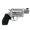 Taurus Judge